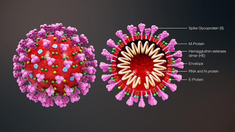 ¿Cómo se contagia el Coronavirus?
